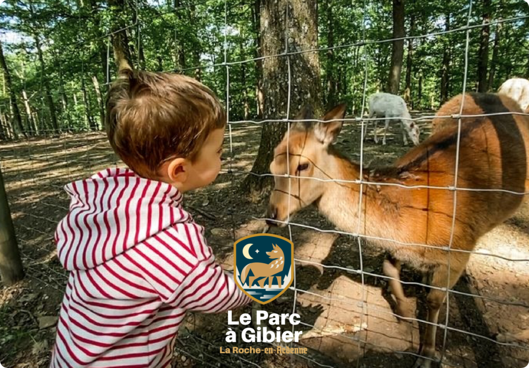 Animal park
